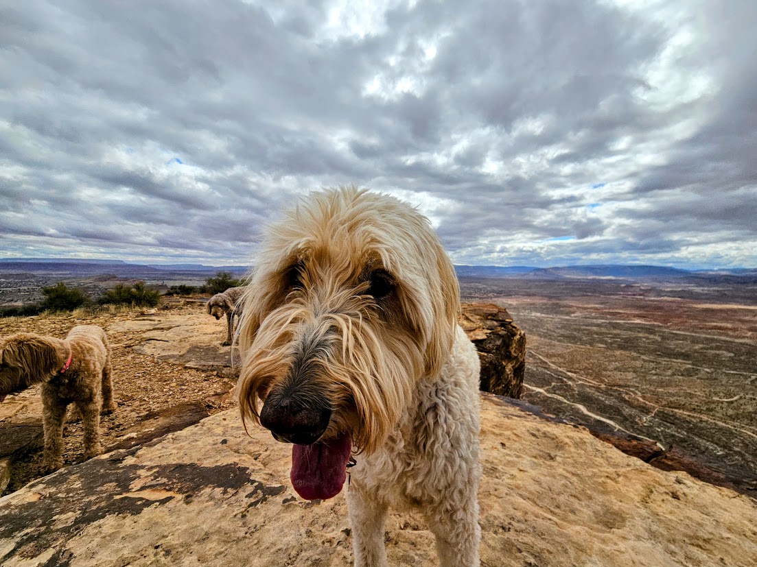 Harley at the mountain lake